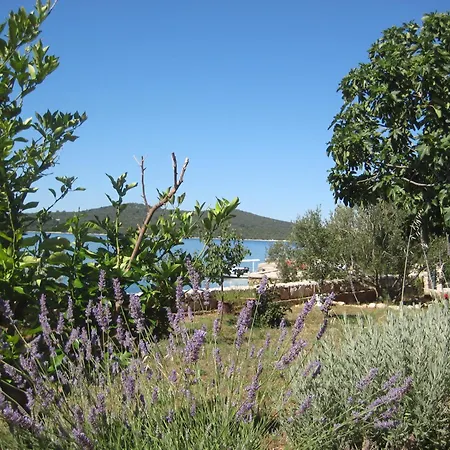 Pralija Mile Lägenhet