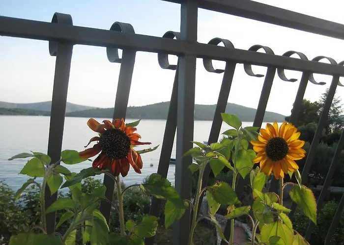 アパート Pralija Mile *