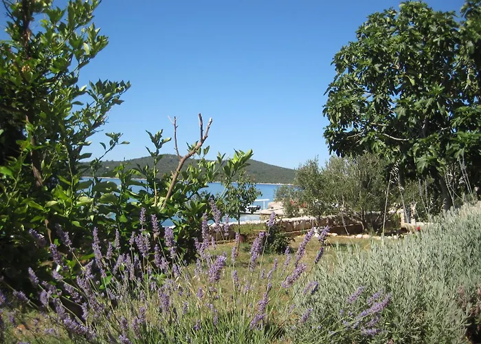 Pralija Mile アパート